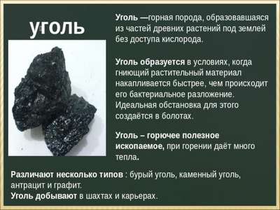 Интересные факты об угле