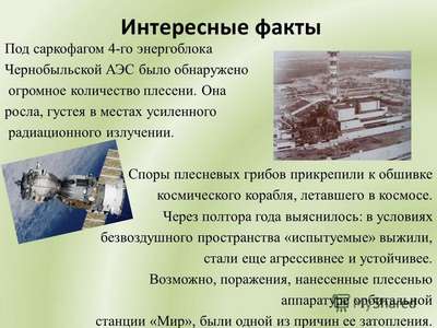 Интересные факты о Чернобыле и аварии на Чернобыльской АЭС
