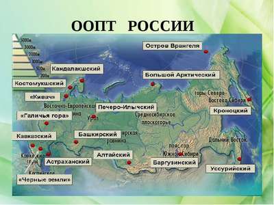 ТОП 10 заповедных и природоохранных территорий России – список, фото, карты и описание