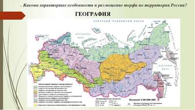 ТОП 10 крупнейших болот России: карта, список, краткое описание и видео