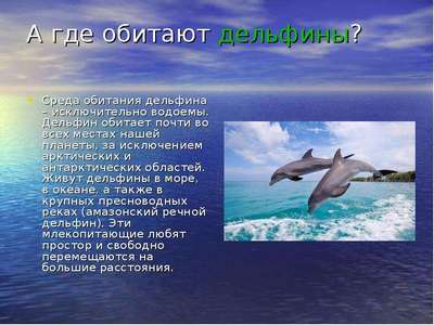 Какая среда обитания у дельфинов?