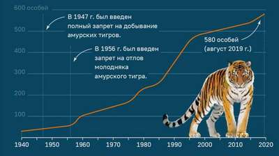 Сколько тигров осталось на Земле?