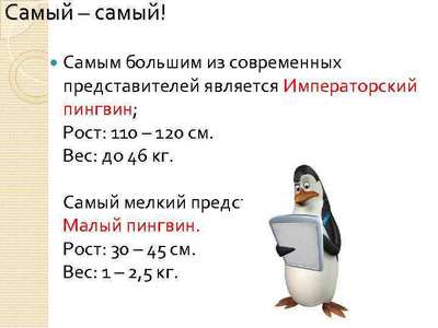 Сколько весят пингвины?