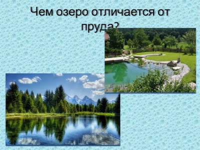 Какая разница между озером и прудом?