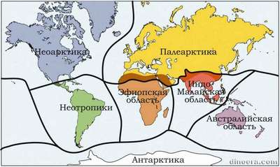 Экозоны, царства или биогеографические зоны Земли