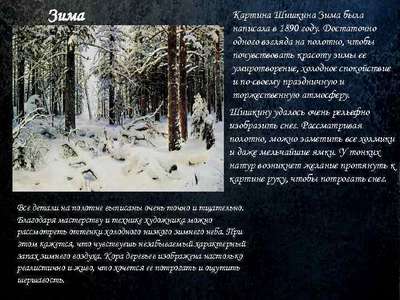Сочинение: описание картины И. Шишкина “Зима”
