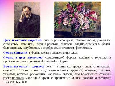 Сочинение: описание картины Кончаловского «Сирень в корзине»