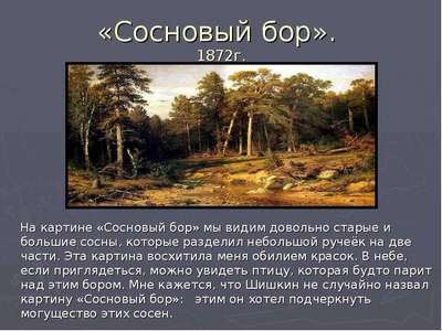 Сочинение: описание картины Шишкина «Сосновый лес»