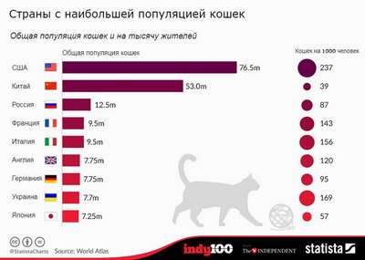 Сколько домашних кошек на Земле?