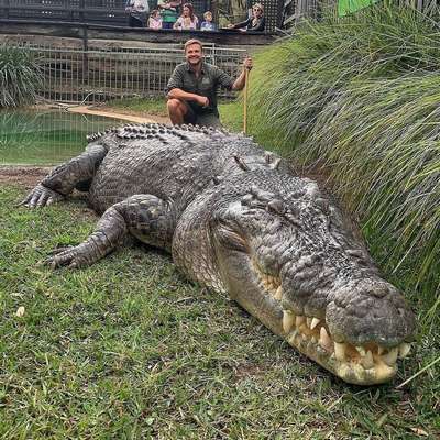 Какой вид крокодилов самый крупный и опасный на Земле?