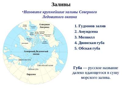 Самые большие заливы Северного Ледовитого океана – список, хаpaктеристика и карта
