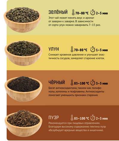 Сколько кофеина содержится в зеленом чае? Полезен ли зеленый чай?