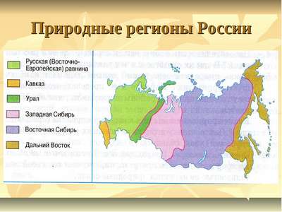 Какие крупные природные регионы выделяют на территории России? Названия, описание и карта