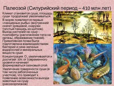 Силурийский период, или силур (444 – 419 млн лет назад)