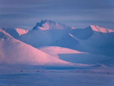 Что такое арктическая пустыня?