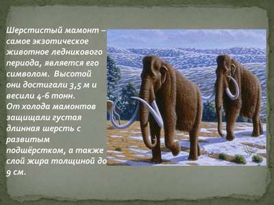 Самые интересные факты про мамонтов