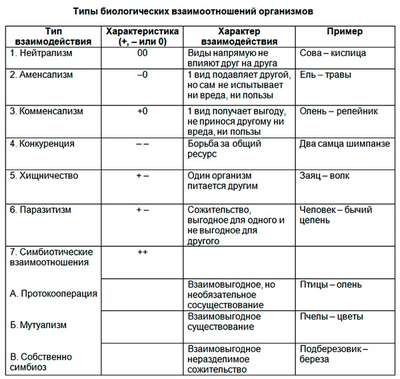 Взаимоотношения между организмами – примеры, хаpaктеристика и таблица