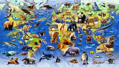 Животный мир, или фауна Земли