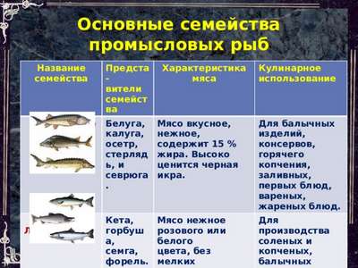 Промысловые виды рыб: названия, фото и хаpaктеристика