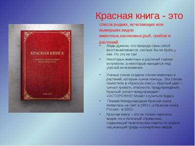 Международная Красная книга – основная информация и значение