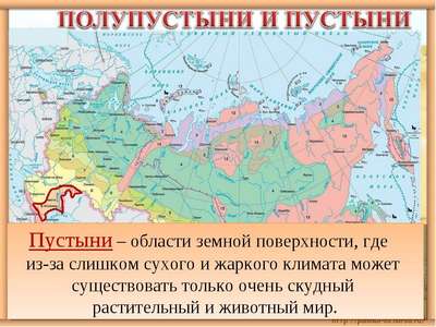 Зона пустынь и полупустынь России: где находится, карта, климат, флора и фауна
