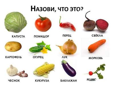 Детские картинки овощей с названиями