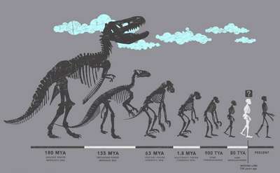 Как эволюция создала динозавров?