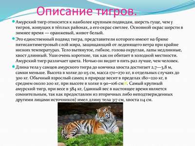 Тигр – описание, ареал, подвиды, питание, поведение и размножение