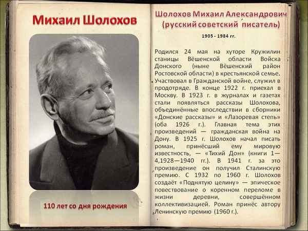 Самая краткая биография Шолохова