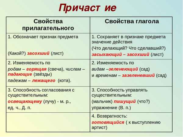 Причастие – описание и понятие о причастии в русском языке, коротко с примерами