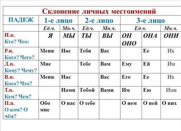 Личные местоимения в русском языке – таблица с примерами форм числа и лица
