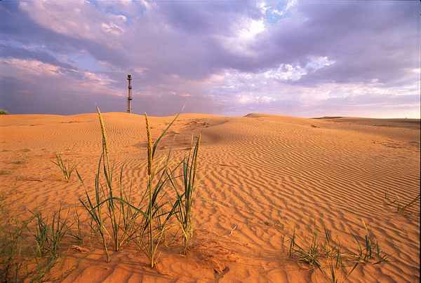 Природная зона Пустыня и полупустыня – план описания (4 класс), характеристика для сообщения