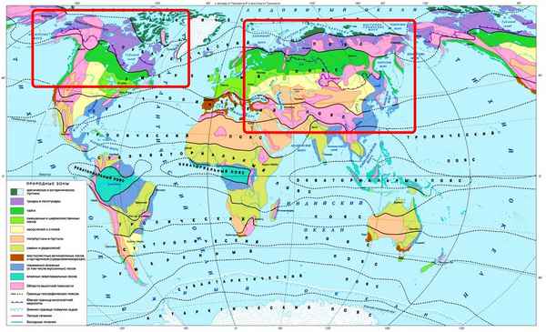 Географическая карта природных зон мира, рисунок и название