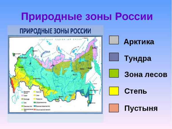 Природные зоны – хозяйственная деятельность человека, какая зона России сильно изменена