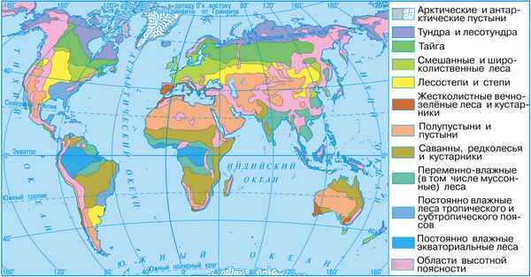 Основные природные зоны мира, распространение по Земле
