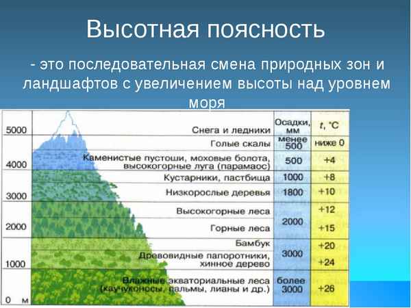 Широтные природные зоны (высоких и низких широт) – расположение, климат и зональность