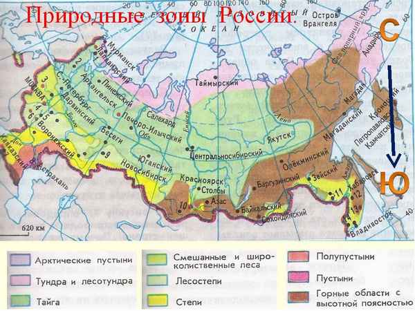Природные зоны России (4 класс) по окружающему миру, карта нашей страны ктеме \u003e Эрудит - интересные факты