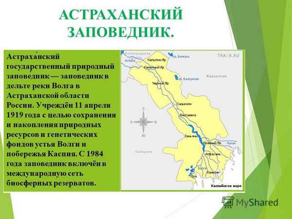Природные зоны: заповедники (Астраханский и Кандалакшский). Природно-заповедная зона