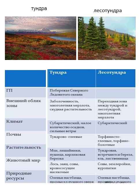 Природные зоны России: Лесотундра и тундра, их характеристика