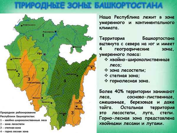 Природные зоны Башкортостана и Уфы