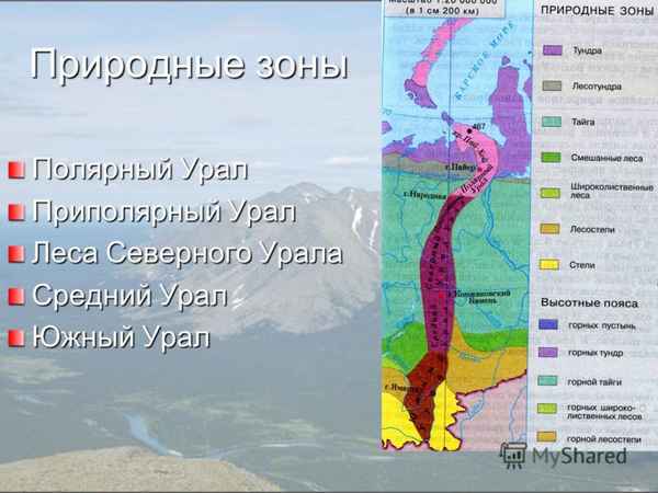 Природные зоны Урала (южного и северного) и уральских гор