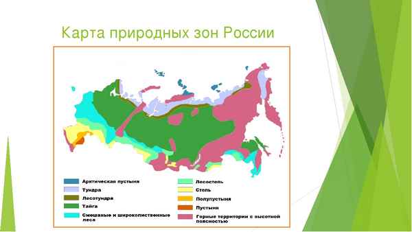 Карта природных зон России (4 класс) по окружающему миру