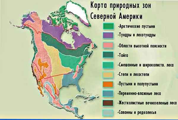 Природные зоны Северной Америки – таблица и характеристика, карта