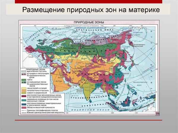 Природные зоны Евразии (7 класс) – таблица по географии, характеристика