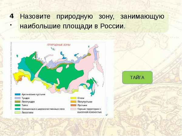 Какая природная зона самая большая и занимает большую площадь России