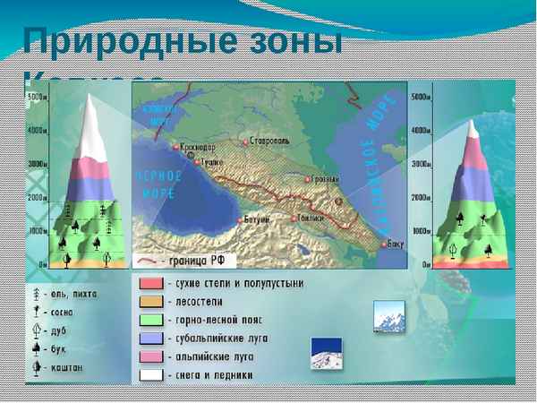 Природные зоны Северного Кавказа – кратко основные особенности