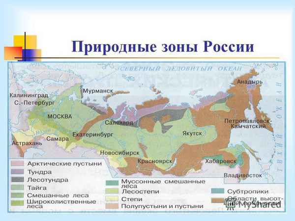 Природная зона Астрахани – в какой зоне находится