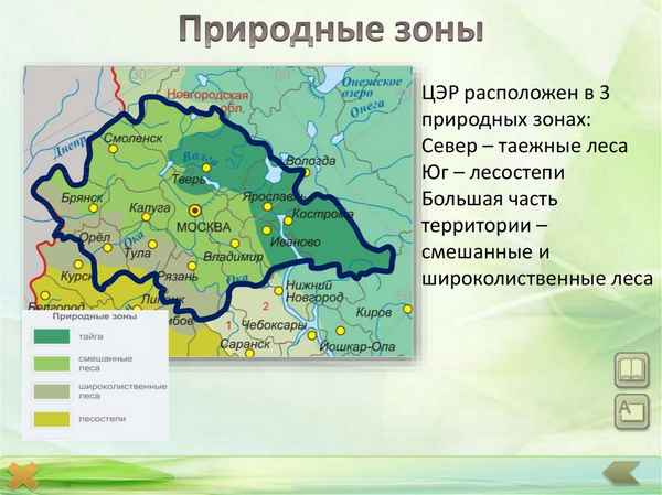 Природные зоны Центральной России – основные особенности