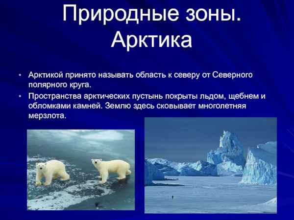 Природная зона Арктики в России