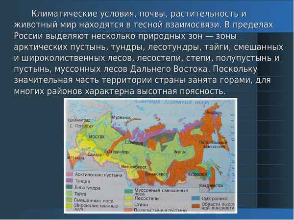 Климат России кратко, изменения на юге, тайге и центральной части